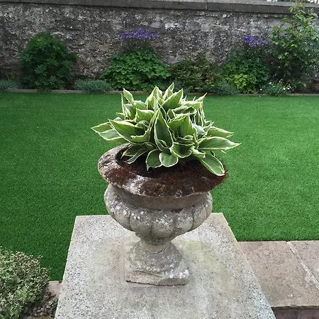 Bed & Breakfast Chapel House Bedale